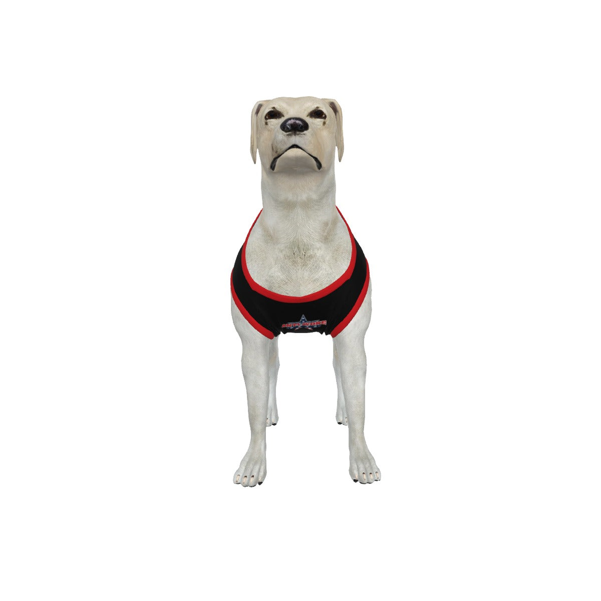 Bulldog-Red Collar- My Owner Is Armed- Anti Woke Pets Big Tank Top